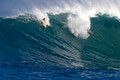 waimeabay112423_0009